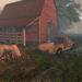 sunset on the farm