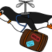 migrating penguin