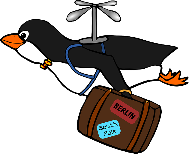 migrating penguin